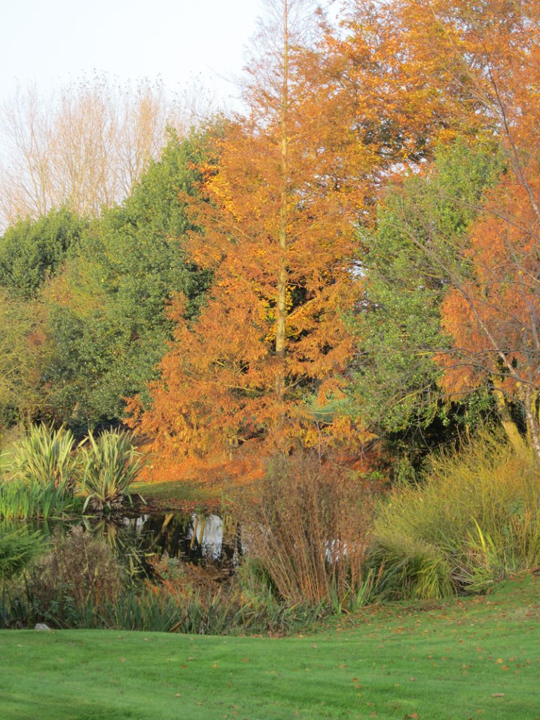 Autumn view from the top of Carter's Hill
