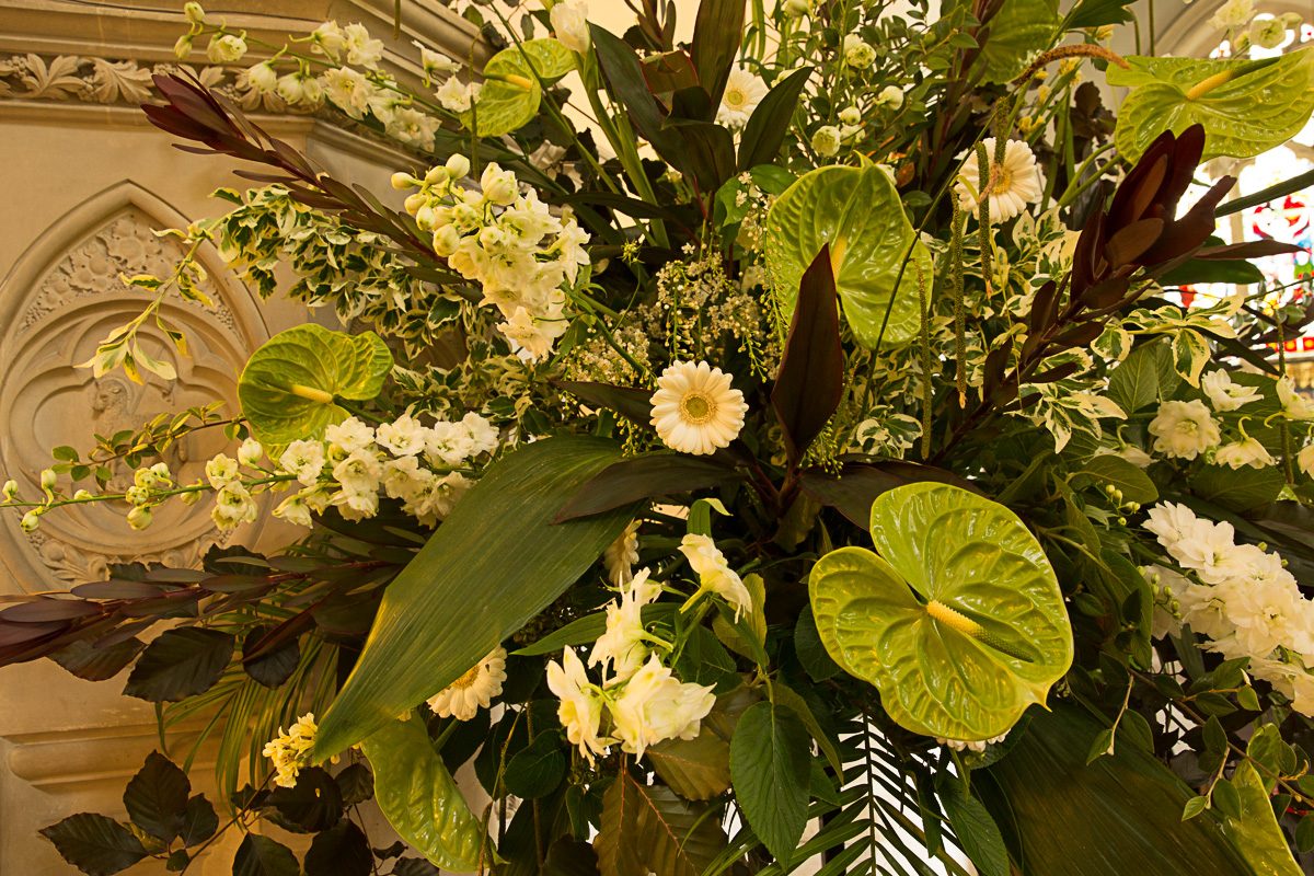 The Commonwealth - Sarah Rees