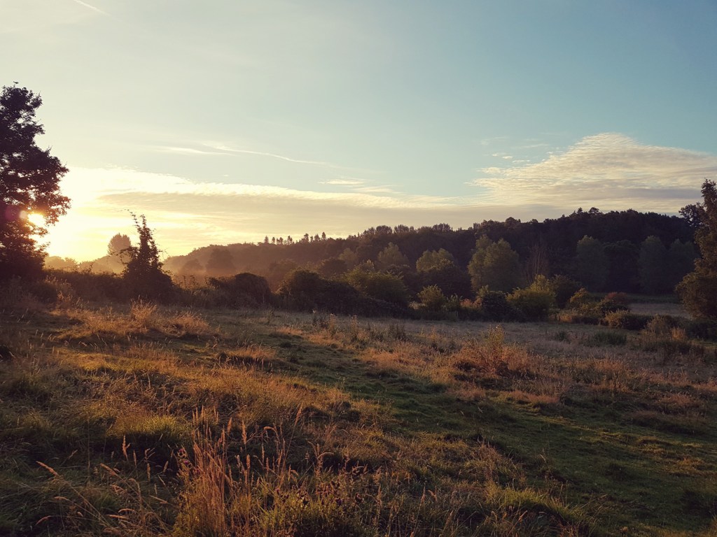 Part of Boxted lies within an AONB
