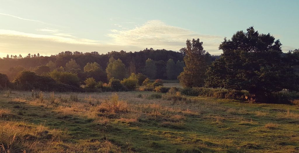 Part of Boxted lies within an AONB